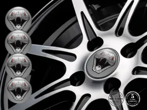 Gewölbte Emblem Hochwertiger Finish Überlegene Dome